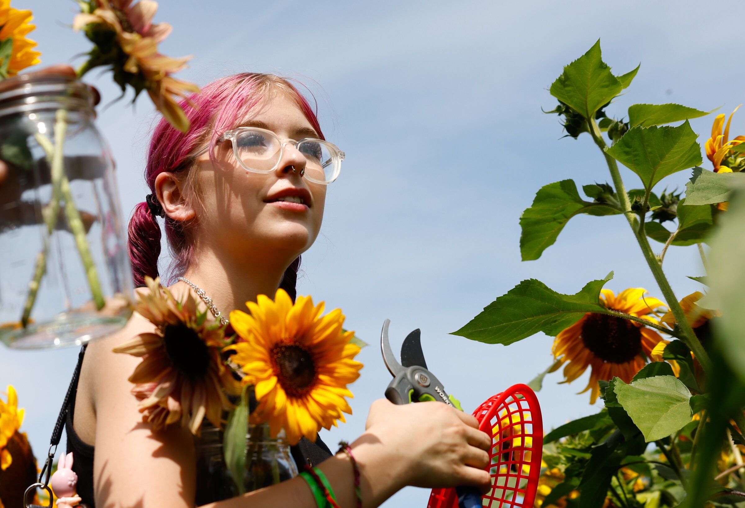 Sunflower Festival in Snohomish makes for perfect summer portraits