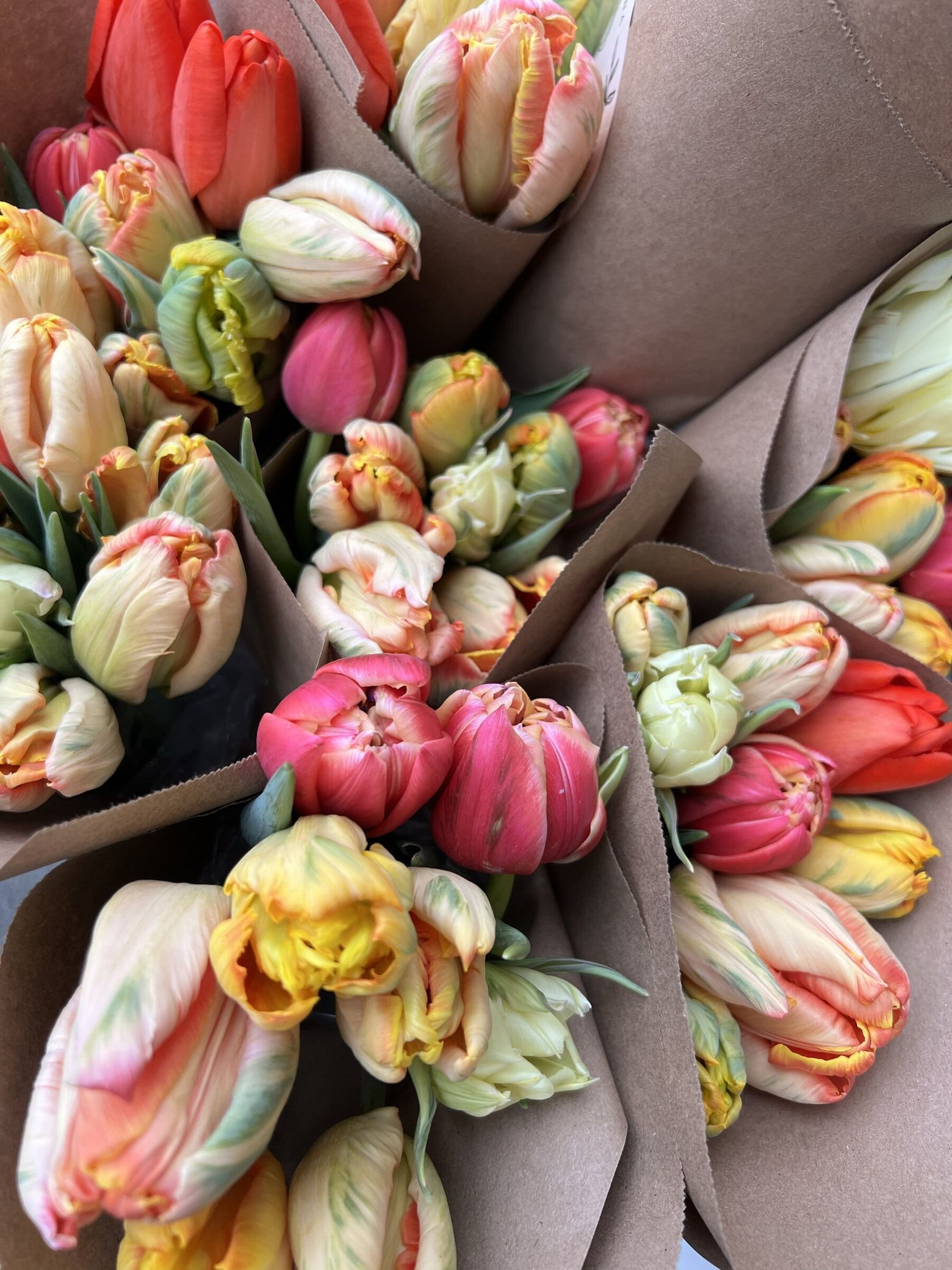 Want beaucoup bouquets? Grow tulips like a flower farmer | The Seattle Times, image size:1560x2080