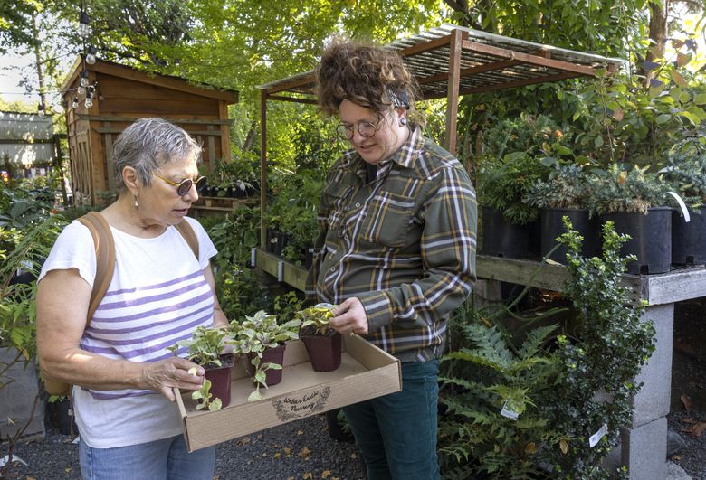 Fremont's Urban Earth Nursery to close after being open nearly 30 years |  The Seattle Times