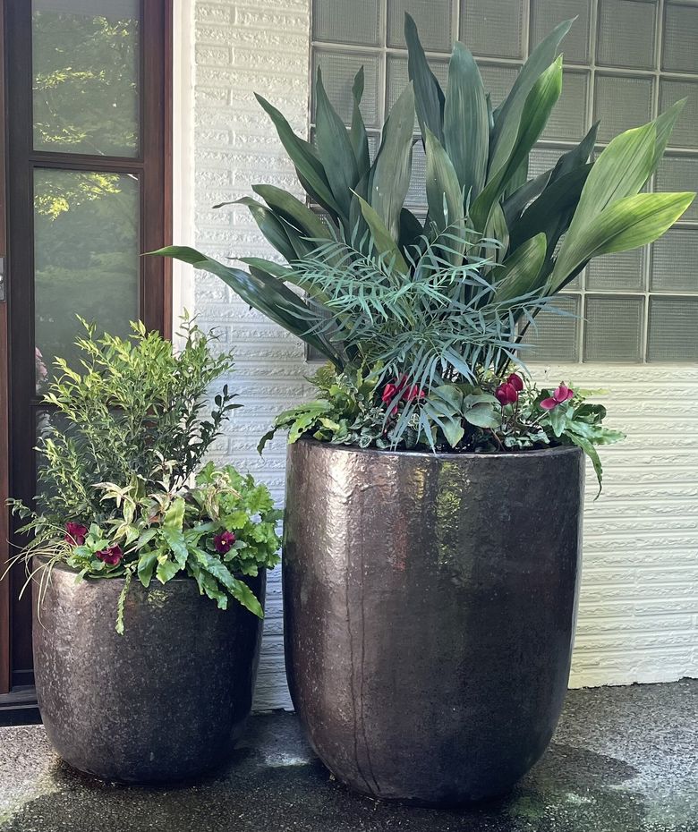 NW garden expert shares the best plants for fall containers that wow | The  Seattle Times