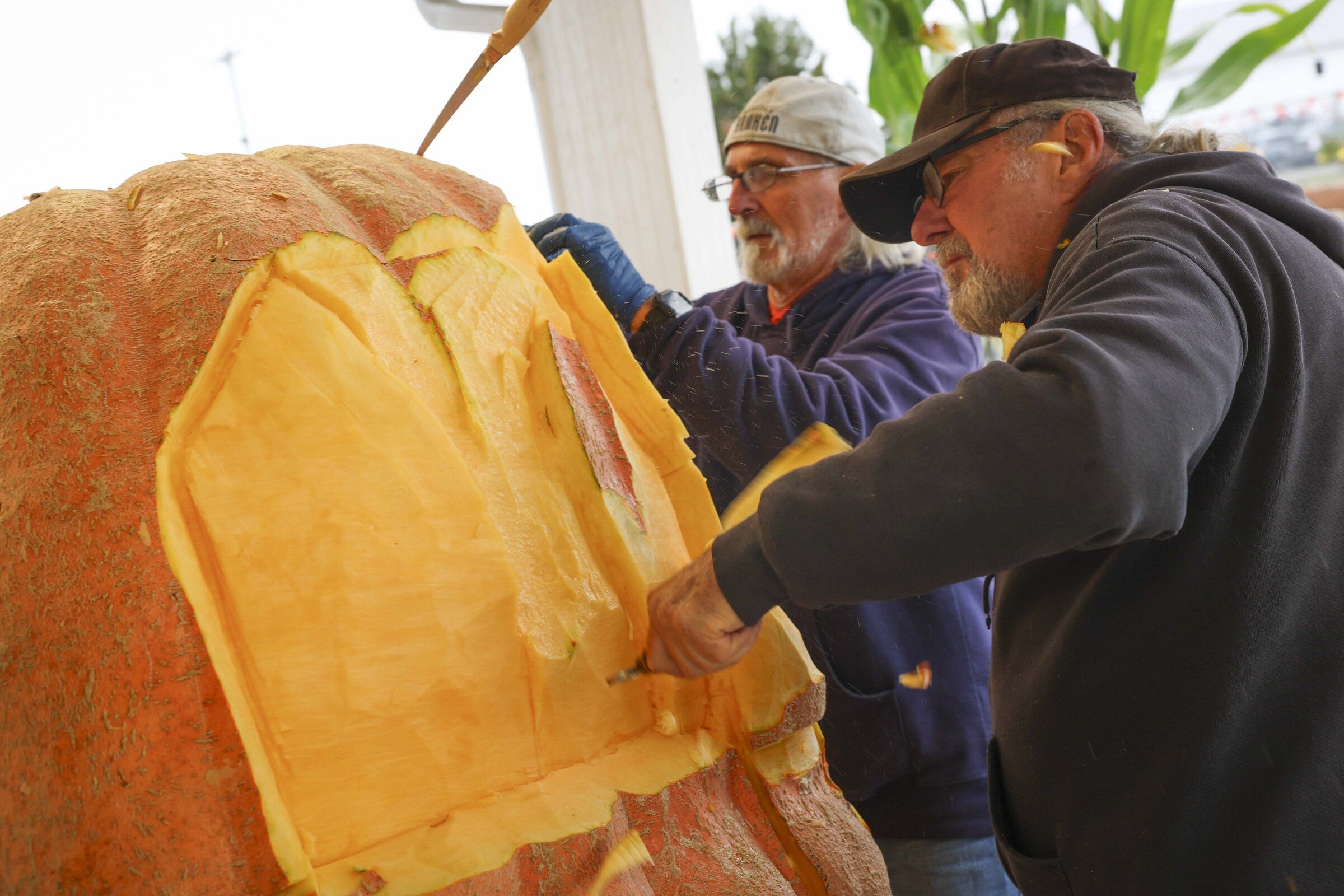 How a WA carver turns giant pumpkins into intricate art | The