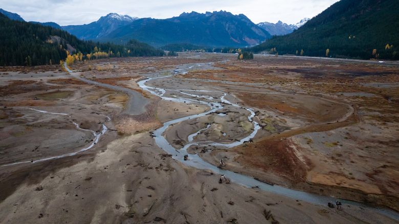 Yakima Valley drought forces WA farmers to rip out apple trees | The ...