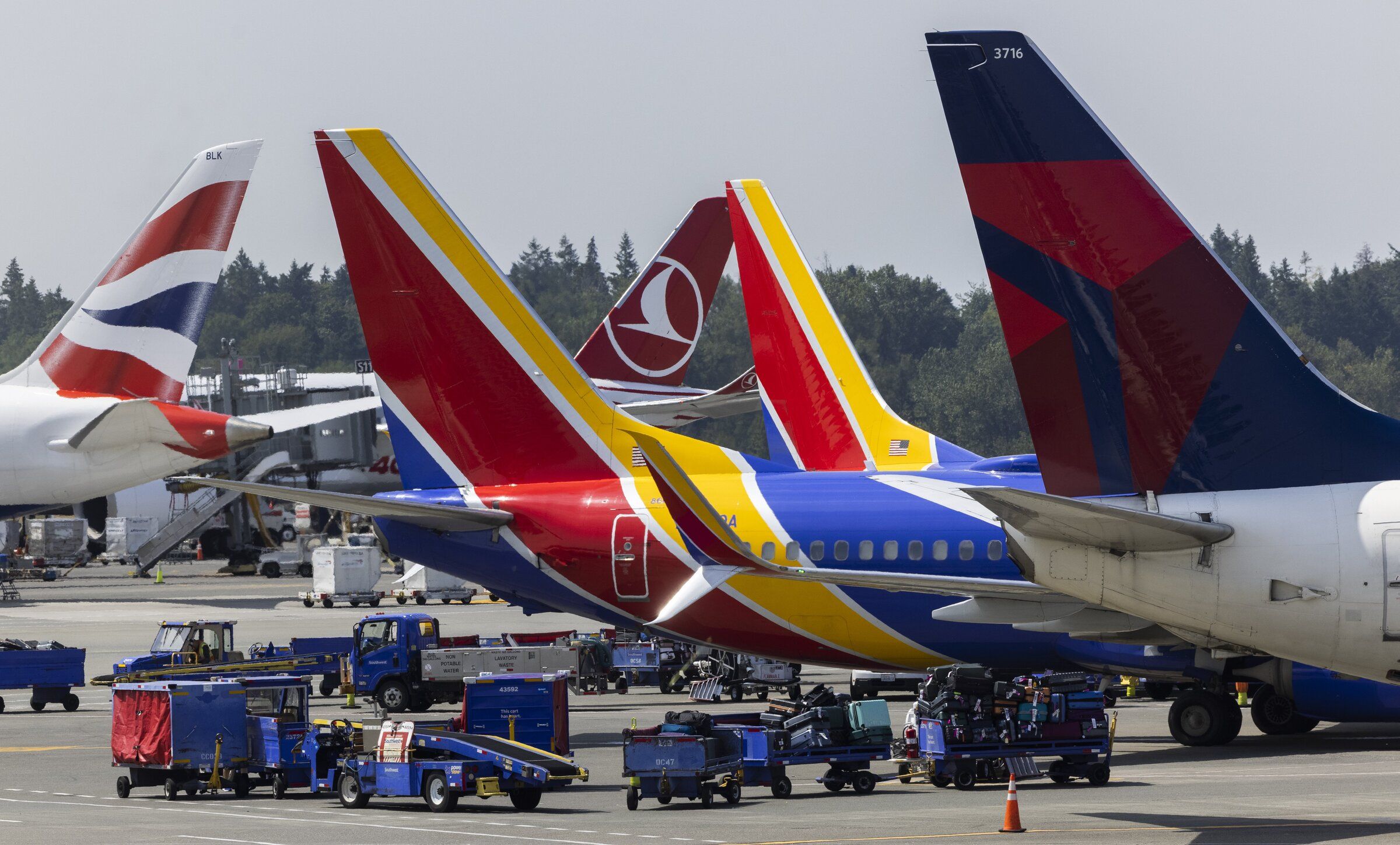 Sea-Tac Airport, TSA PreCheck and Global Entry: What we know | The
