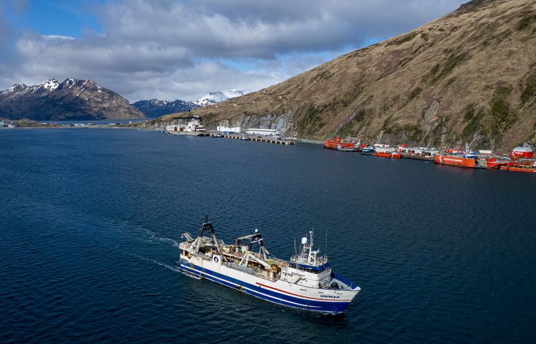 The factory trawler Unimak pulls into port in May in Dutch Harbor. The bottom trawler delivered a catch of yellowfin sole to a freezer storage facility. (Loren Holmes / Anchorage Daily News)