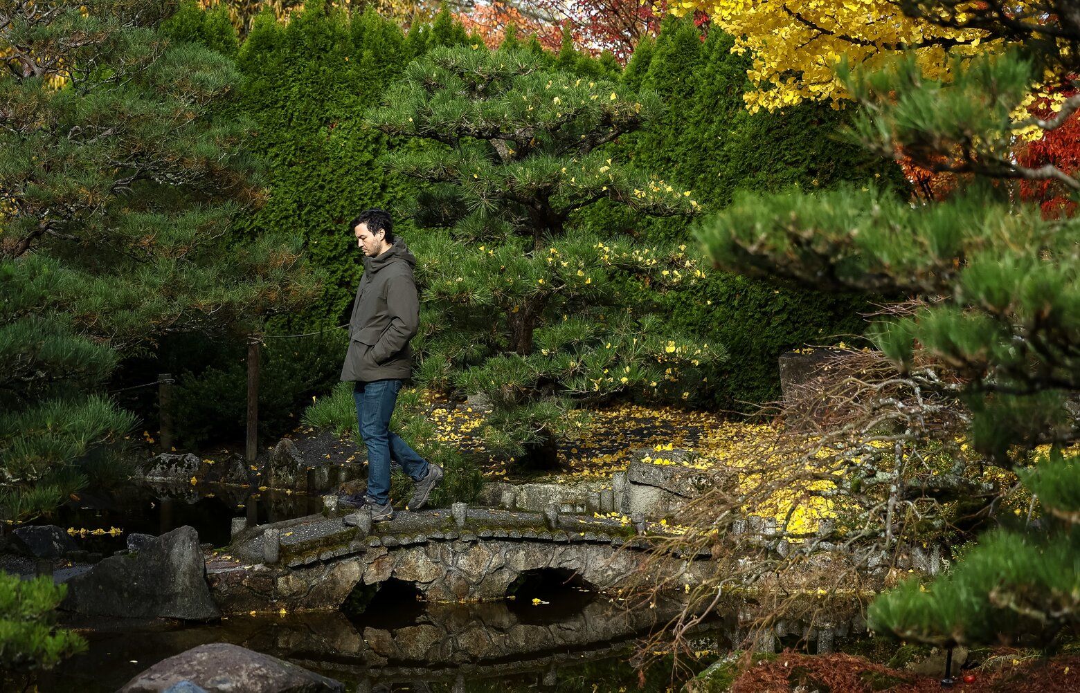 Garden below Sea-Tac Airport's flight paths thrives as its