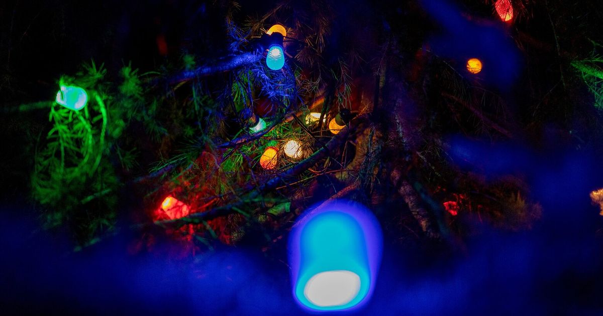 お金に余裕がなくても楽しいクリスマスをお過ごしください