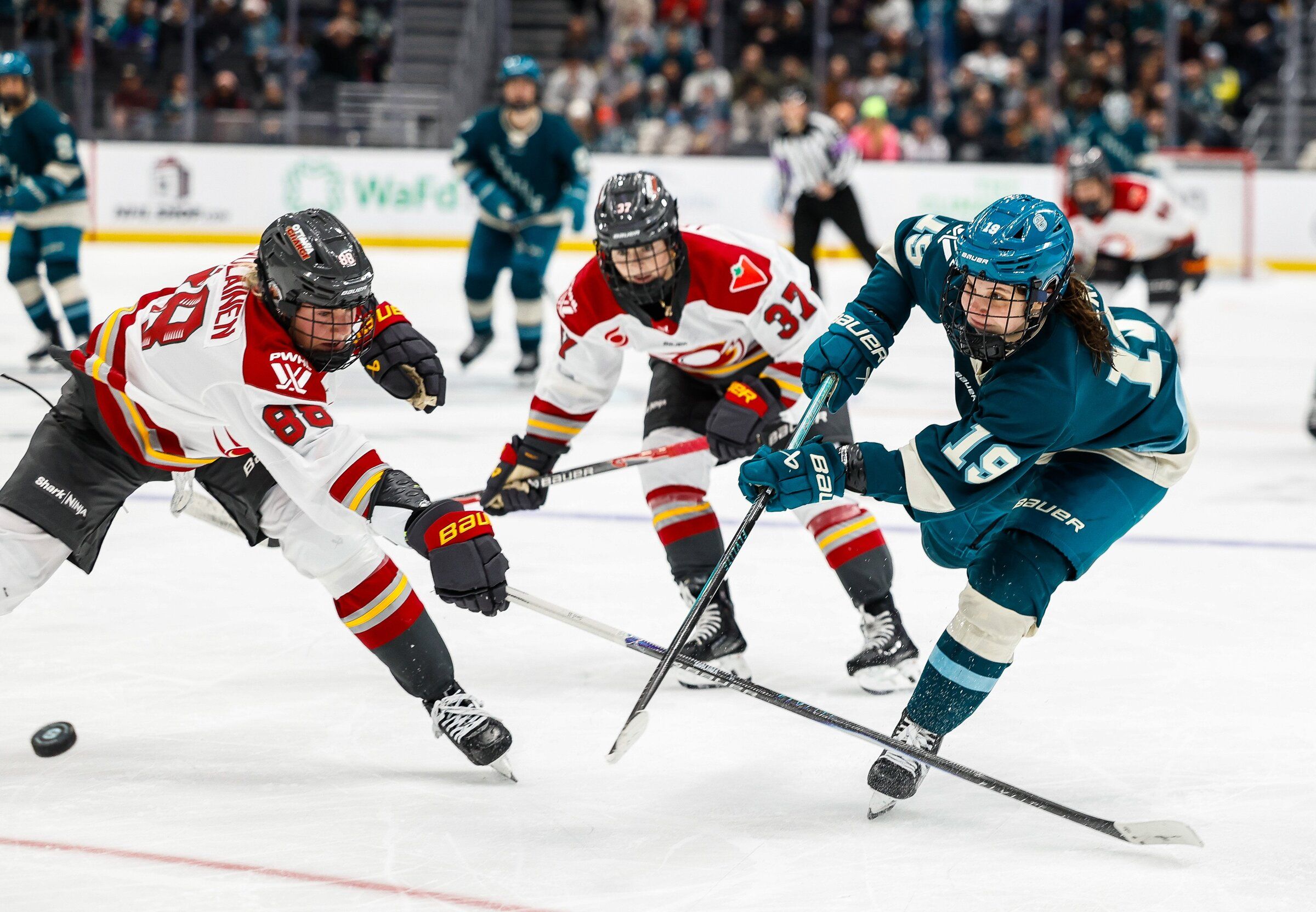 12172025_9_214104.jpg?d=2040x1414