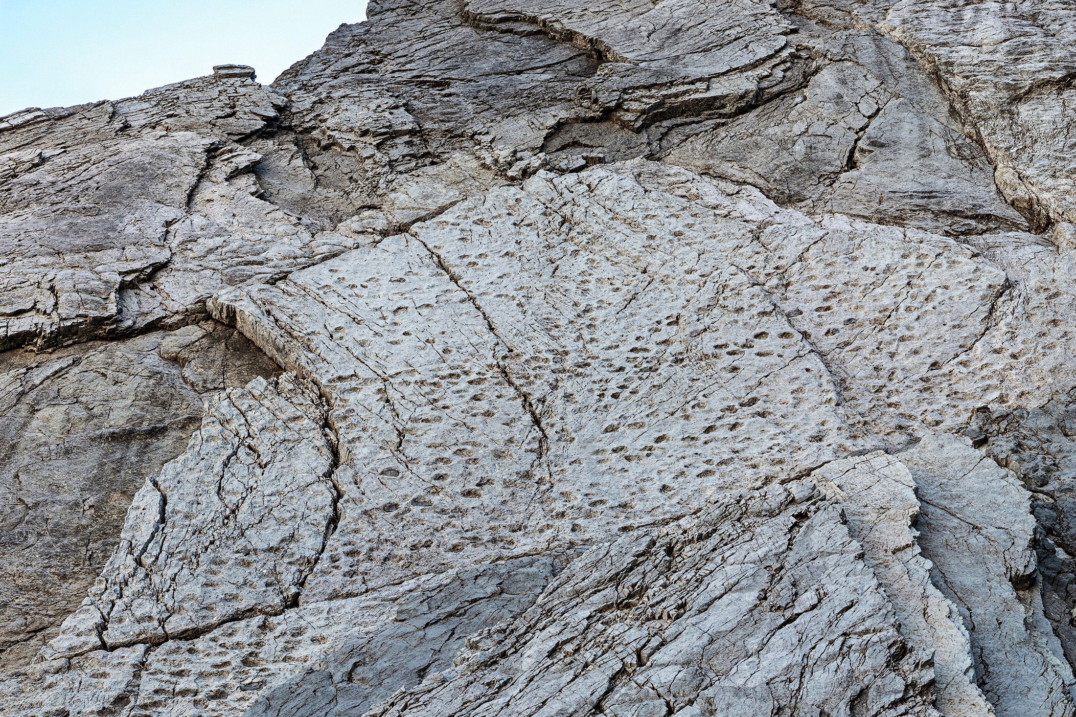 A photographer finds thousands of dinosaur footprints near Italian