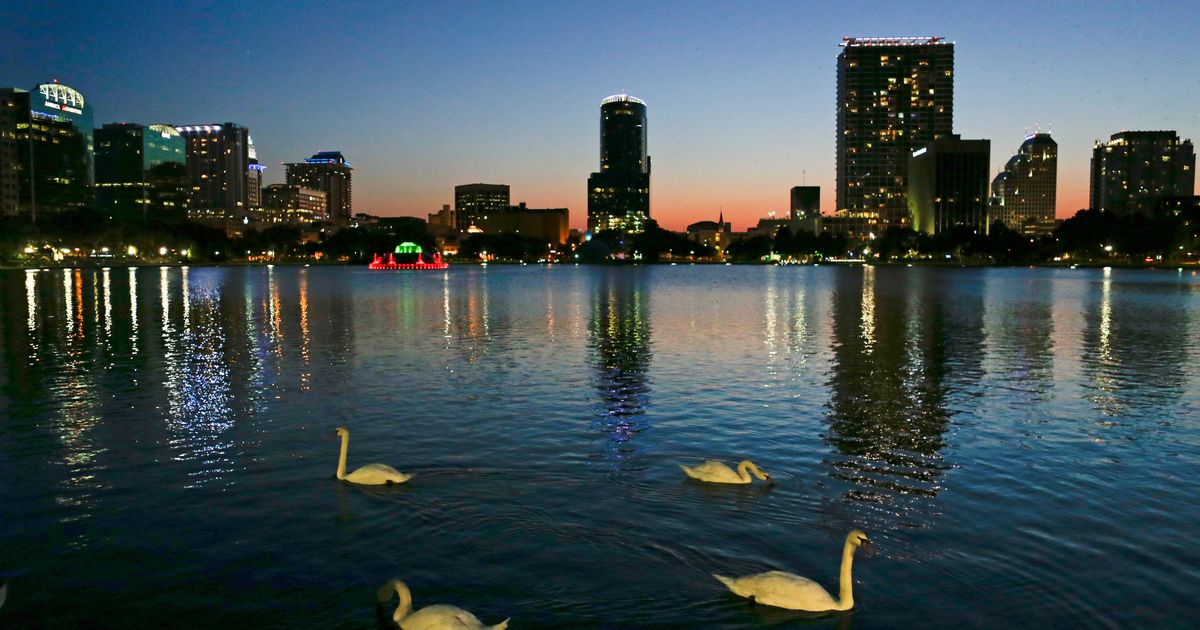 Officials suspect bird flu after 12 swans die at Orlando’s Lake Eola