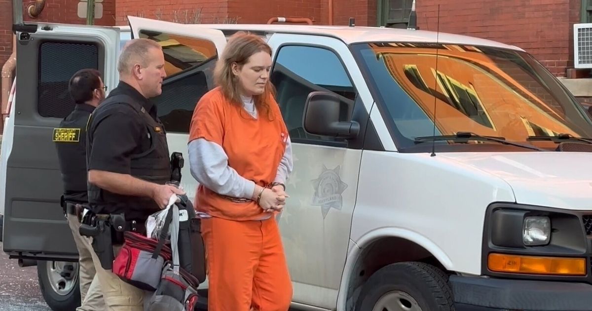 Judge allows members of Zizians group to work together on defense ahead ...