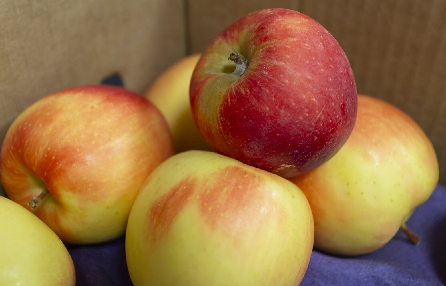 WSU's new Sunflare apple variety gets its first taste | The