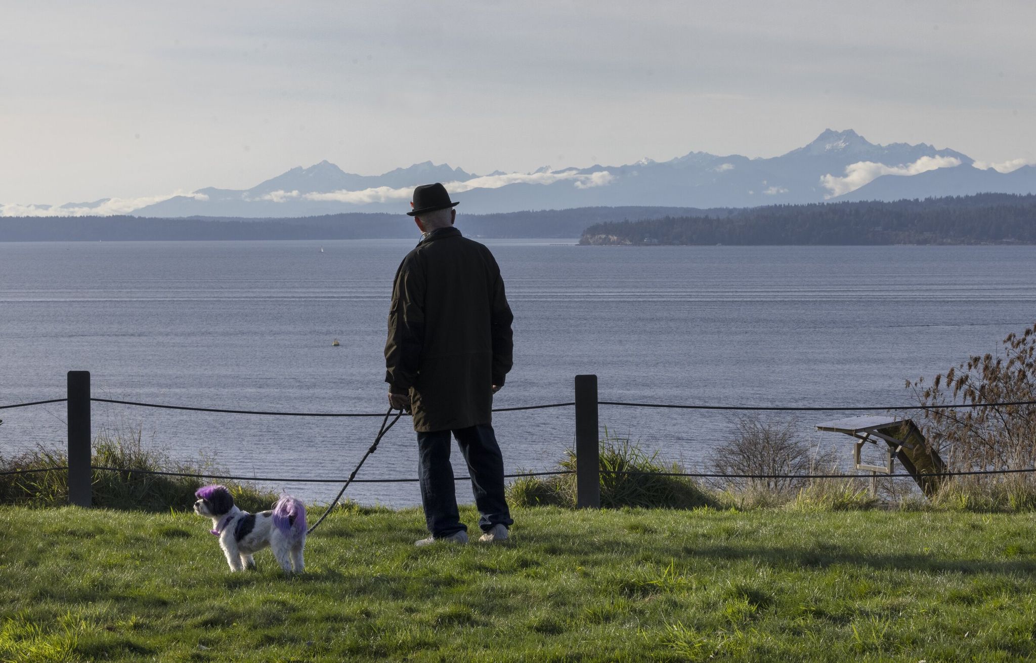 A man looks at the Olympic Mountains from a walking trail in Richmond Beach Saltwater Park, located at 2021 NW 190th St. in Shoreline, in November last year. (Ellen M. Banner / The Seattle Times, 2025)