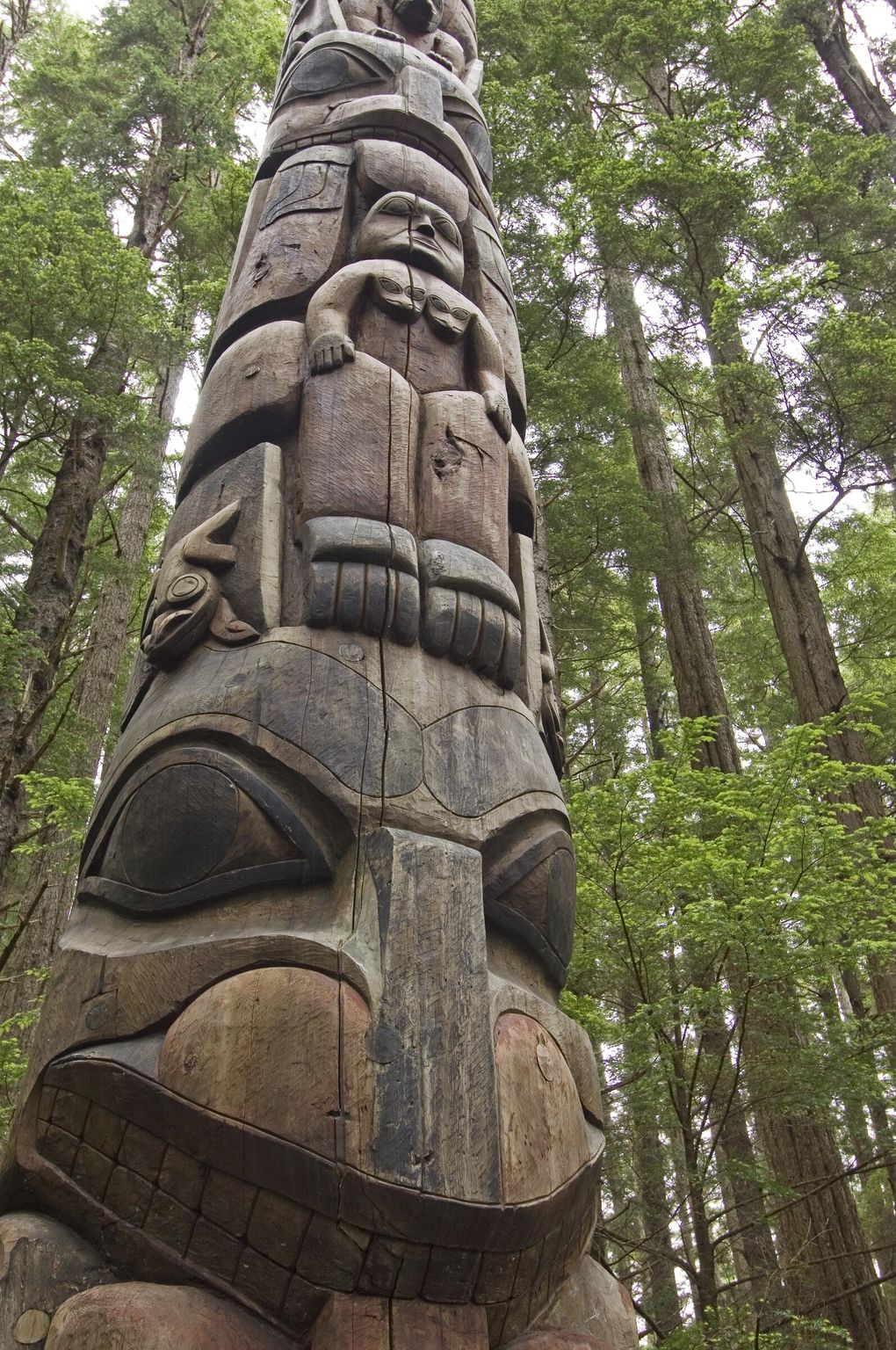 The Tongass National Forest has been home to the Tlingit, Haida and Tsimshian Native cultures for millennia. Totem poles are a signature of their rich culture. (Amy Gulick)