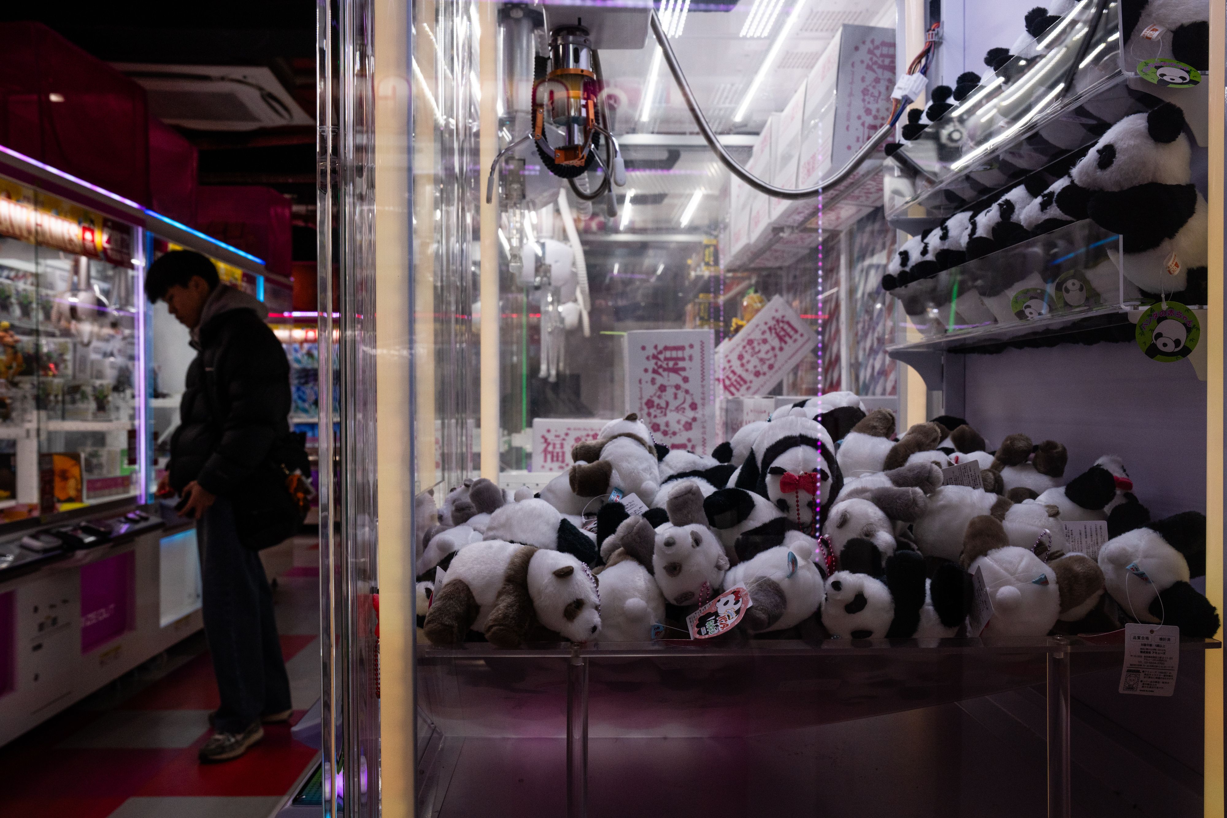 未開封 TOKYOGUNS Sneakerhead llic Panda urnpublicidap.