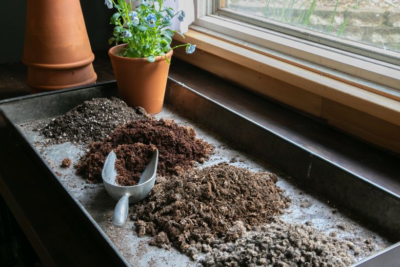 Why and how to replace peat moss in your soil and garden | The Seattle Times