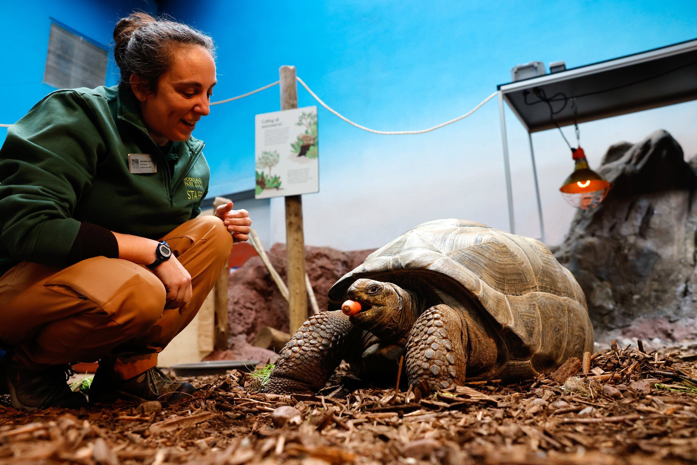 Woodland Park Zoo gets giant tortoises from soon-to-close Reptile
