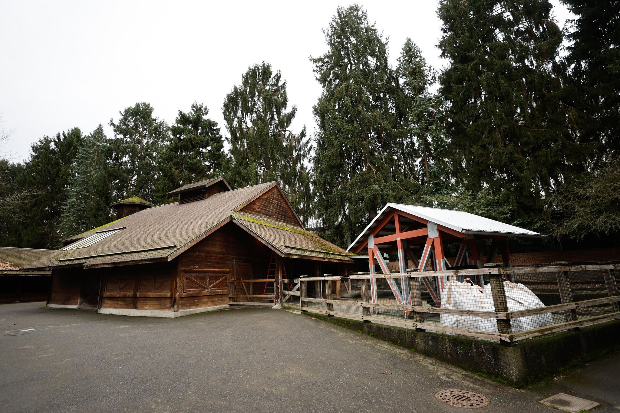 This building and outdoor enclosure at Woodland Park Zoo in Seattle will be prepared to house the two giant tortoises. (Karen Ducey / The Seattle Times)