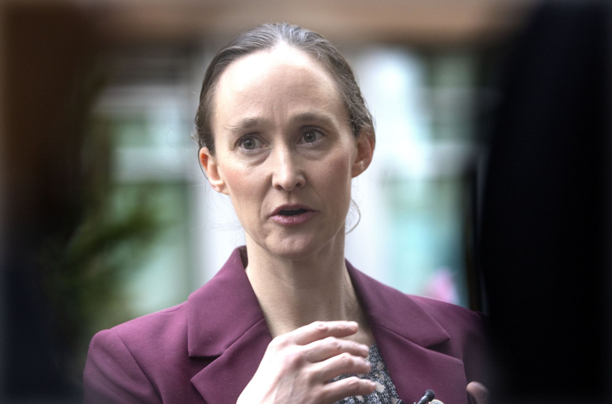 Seattle Mayor Bruce Harrell will send Dungeness crabs to Boston if the Seahawks lose to the Patriots on Sunday. (Ellen M. Banner / The Seattle Times)