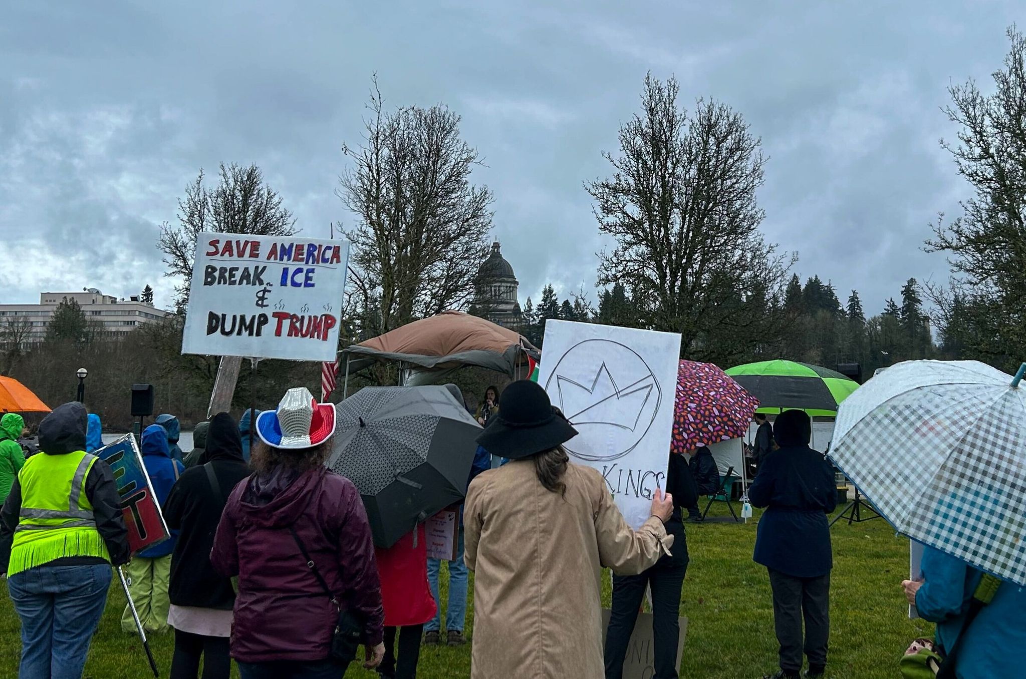 About 350 people gathered in the rain on Saturday, Feb. 7, 2026, at the state capitol in Olympia to mark a year of nationwide protests organized by the 50501 movement. (Sofia Sostrin / The Seattle Times)