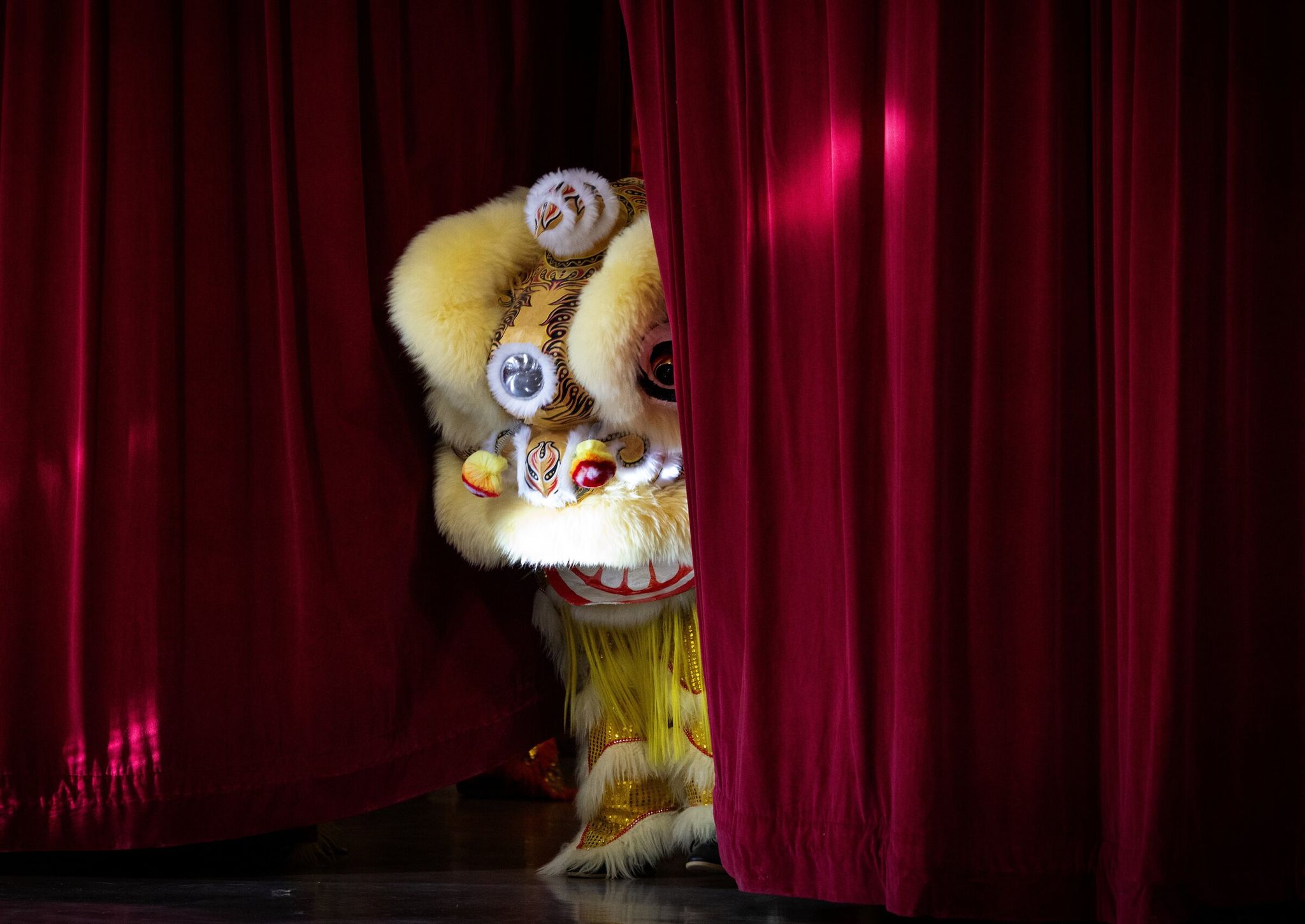 Dearborn Park International Elementary students, performing as a lion, take their final bow during their Lunar New Year performance on Feb. 10. It was part of the Vietnamese-Chinese segment featuring lion and dragon dances by students in grades K-5. (Ken Lambert / The Seattle Times)