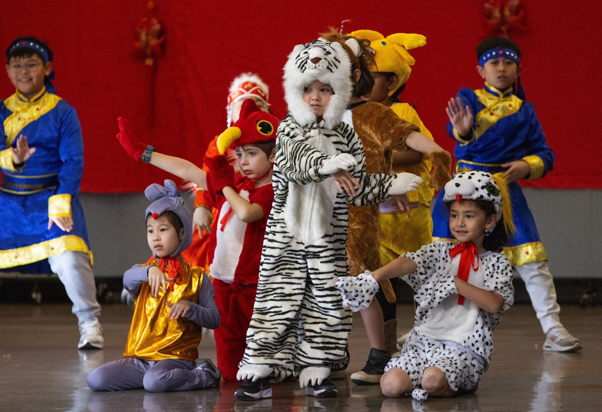 Students perform as animals in the '12 Years' segment of the Lunar New Year program at Dearborn Park International Elementary. (Ken Lambert / The Seattle Times)