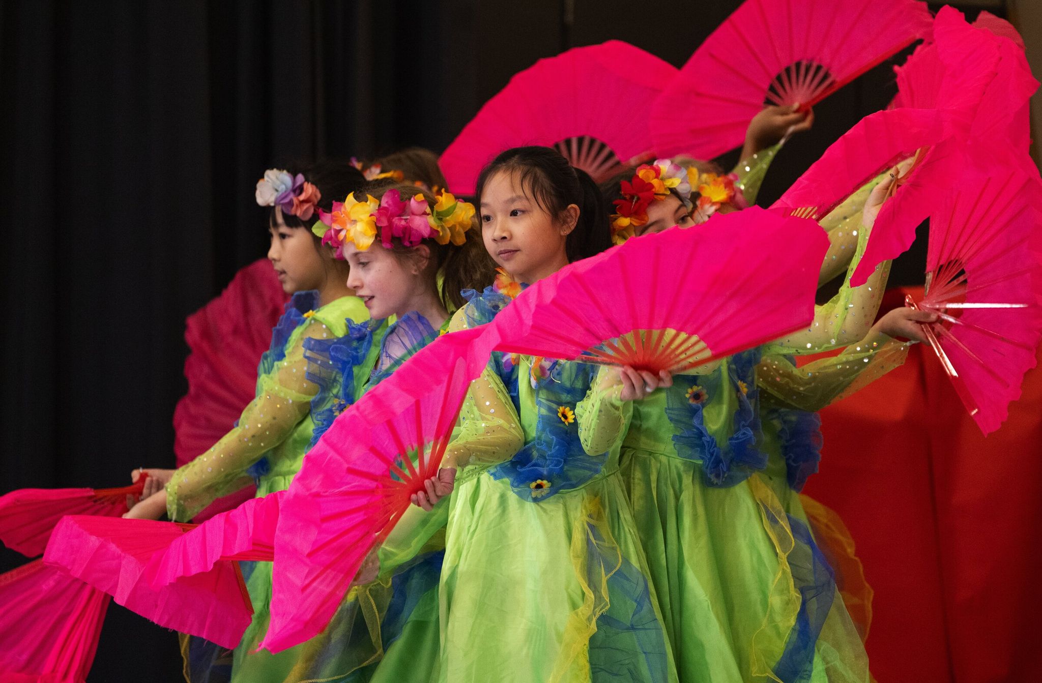 Third- and fourth-graders perform a traditional Chinese fan dance at Dearborn Park International Elementary during the Lunar New Year celebration. (Ken Lambert / The Seattle Times)
