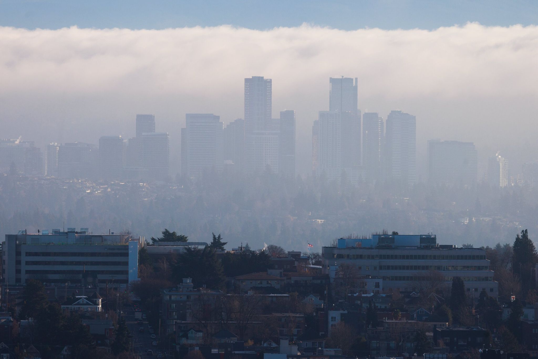The Bellevue skyline is visible through a layer of clouds with the Space Needle on Friday, Jan. 16. (Erica Schultz / The Seattle Times)