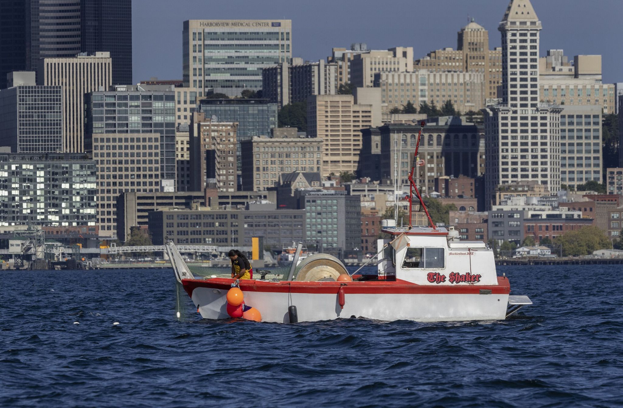 Muckleshoot tribal fisherman Tyson Simmons on his bowpicker The Shaker caught 40–50 coho salmon on this sunny September day in Elliott Bay. (Ellen M. Banner / The Seattle Times)