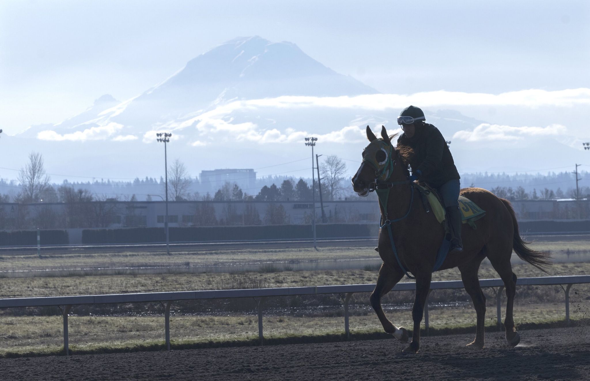 A rider leads a young horse onto the track at Emerald Downs in Auburn on the first day of the 2026 training season, March 2 — a clear day with Mount Rainier watching over everything. (Ellen M. Banner / The Seattle Times)
