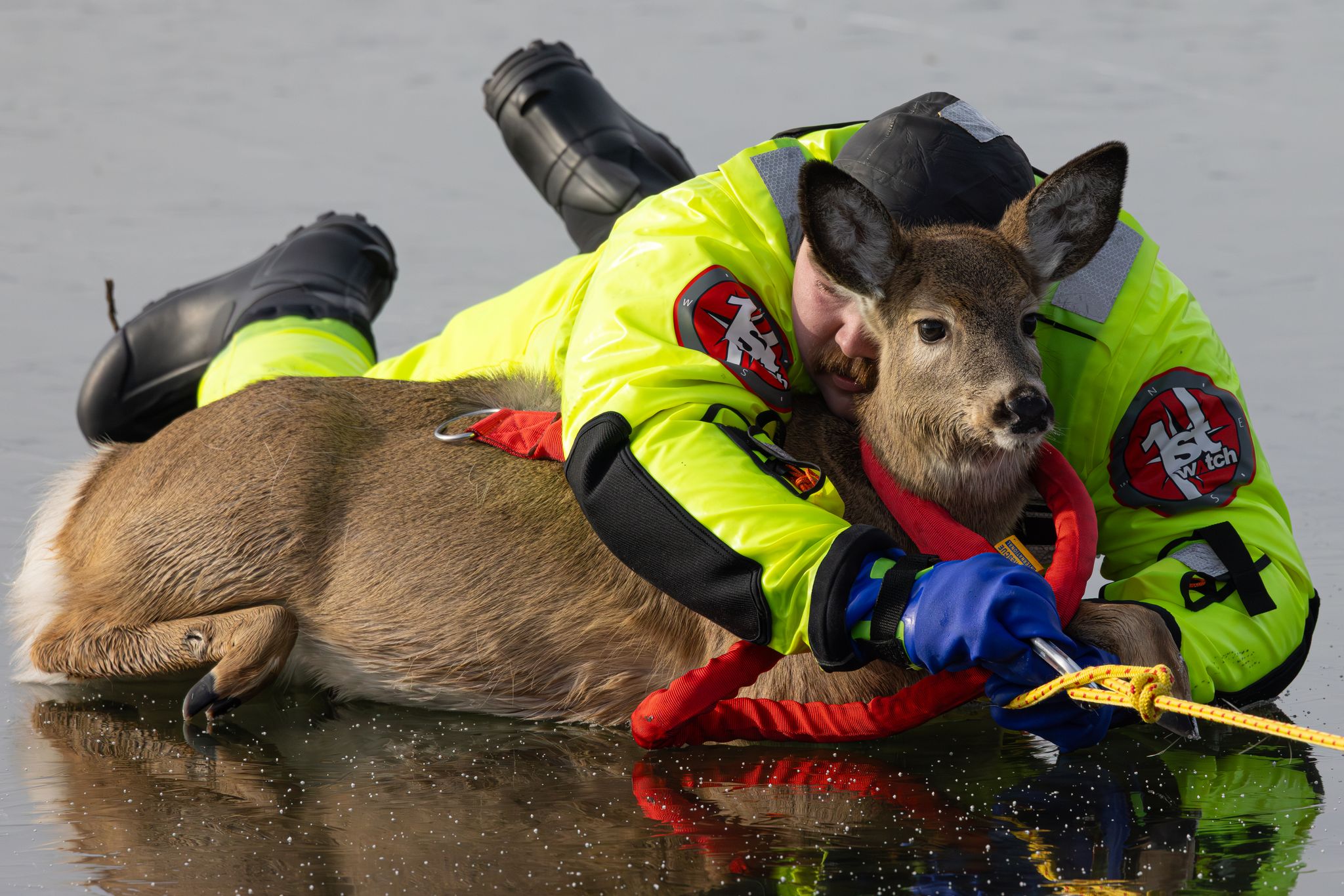 Firefighter Gavin Gallagher holds the deer from behind while other members of the rescue team pull them both across the ice. (Provided by Ginger Poleschook).