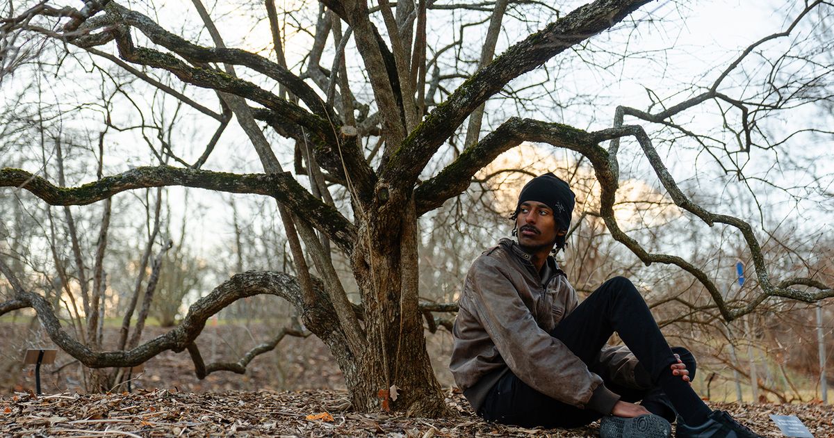 This lecture series teaches students to love, connect with trees | The ...
