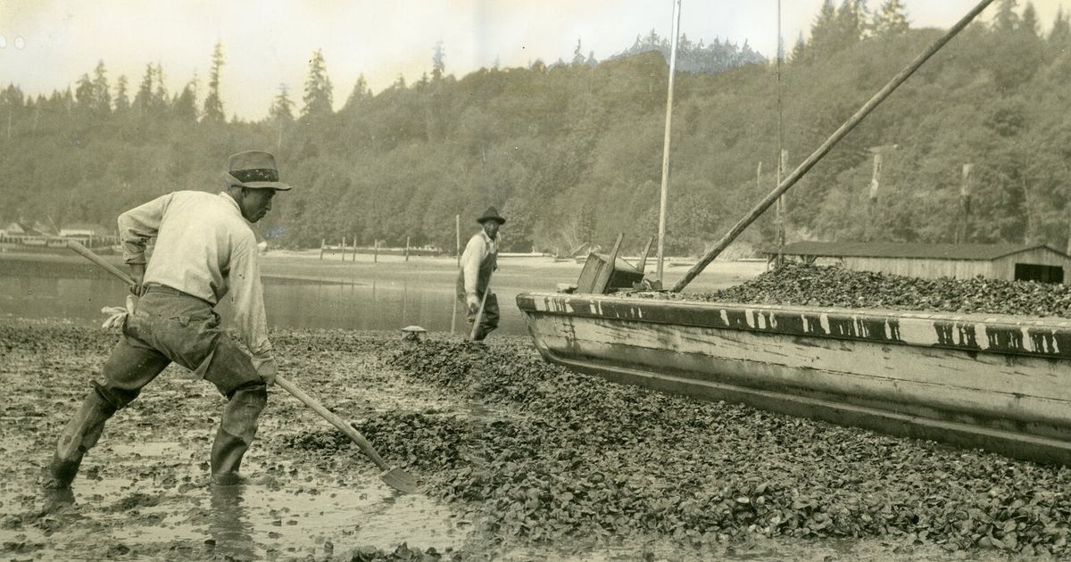 5th generation of WA family steps into the tides to run seafood empire