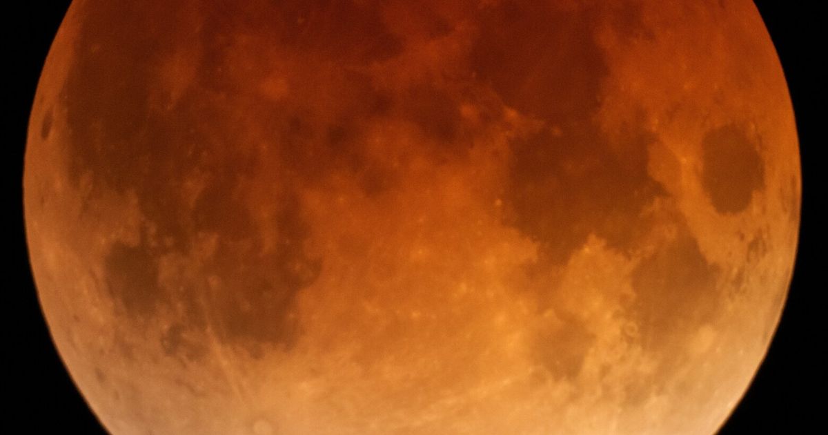 ‘Blood moon’ sails over sky as total lunar eclipse hits WA