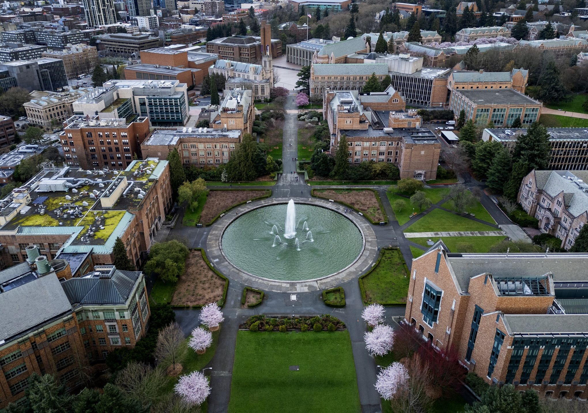 UW students, staff required to take civil rights trainings | The Seattle  Times