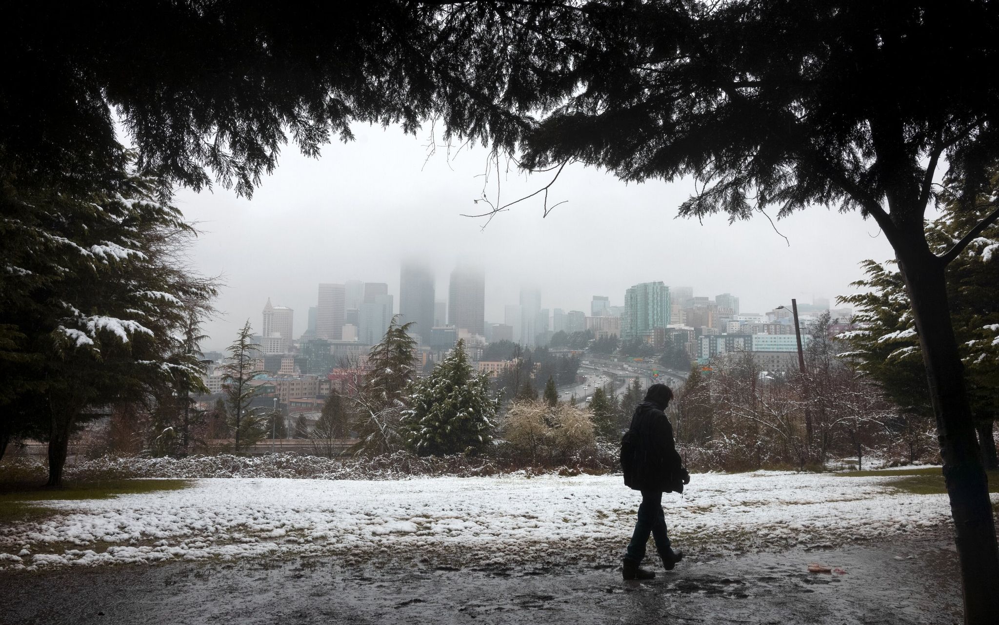 A man walks in the off-leash area of Dr. Jose Rizal Park on Beacon Hill as snow falls Friday. Seattle’s skyline is partially obscured in the background. (Ellen M. Banner / The Seattle Times)