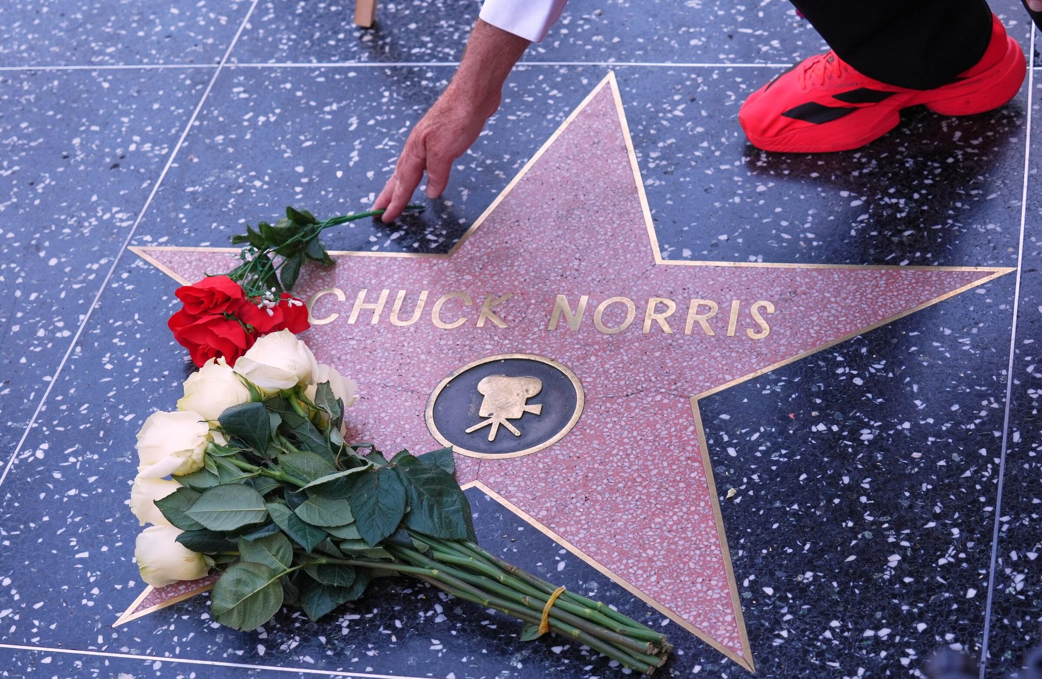 The best 'Chuck Norris Facts' about the late action star | The Seattle Times