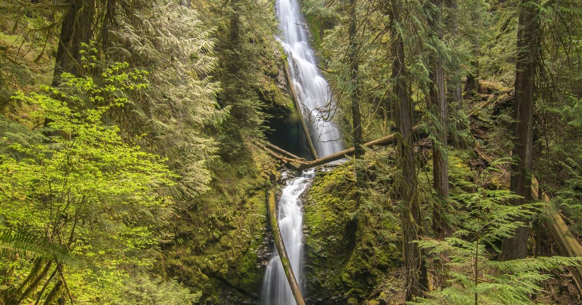 Washington has more than 3,000 waterfalls to choose from. The following are some to inspire your springtime waterfall quests.