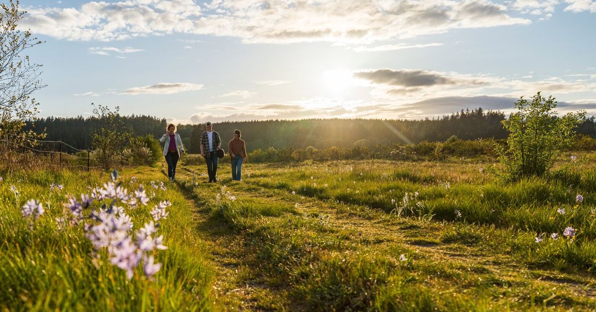 Ease your way into the early days of hiking season with some spring wildflower hikes on these trails and beyond.