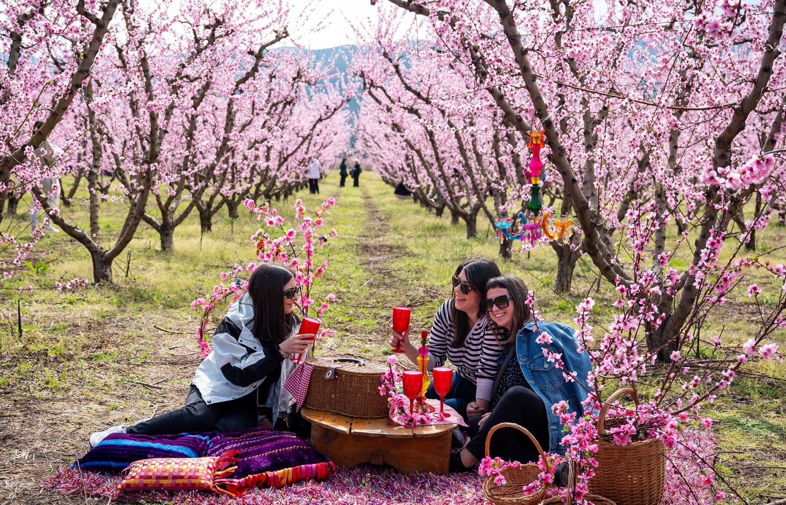 スタンピンアップ　BLOSSOMS IN BLOOM バンドル banditrunning and @asics launch their Cherry Blossom capsule in