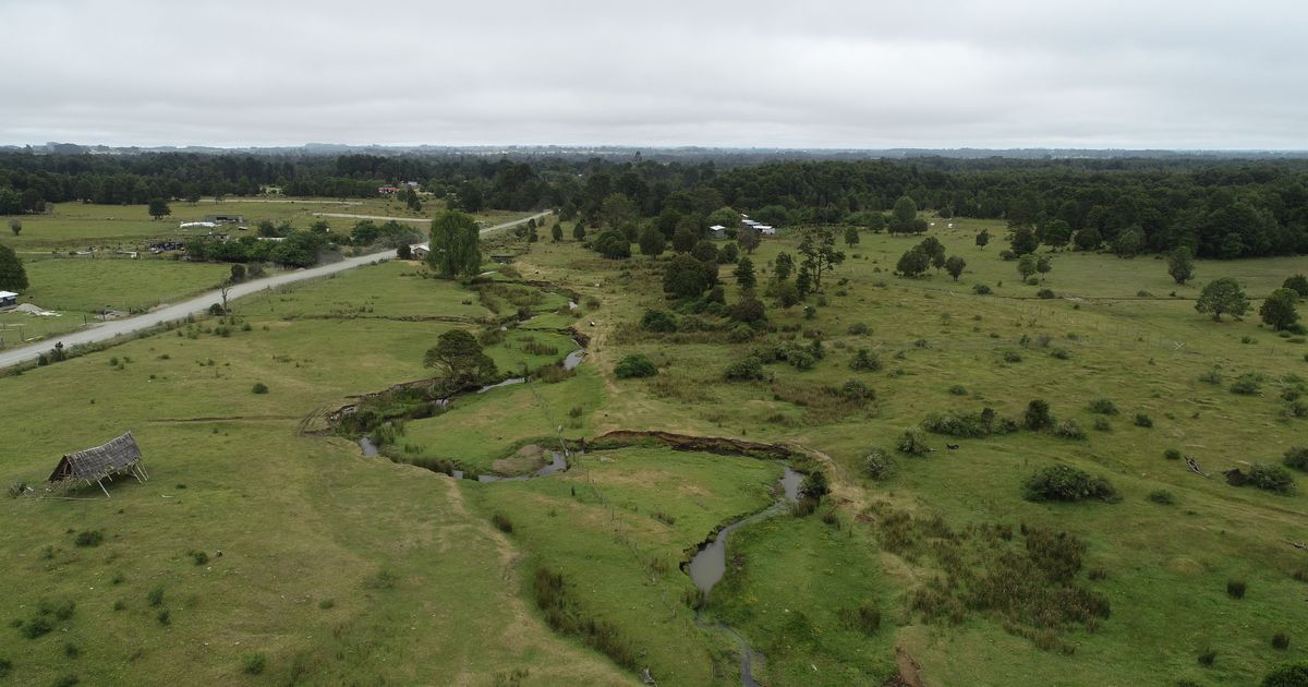 नया अध्ययन उस साइट को चुनौती देता है जो इस बात की कुंजी है कि मनुष्य अमेरिका तक कैसे पहुंचे