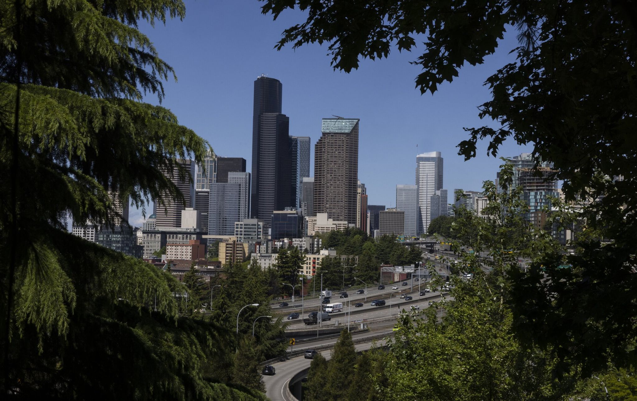 On Wednesday companies and organizations around Seattle and on social media played pranks for April Fools' Day. (Ellen M. Banner / The Seattle Times)