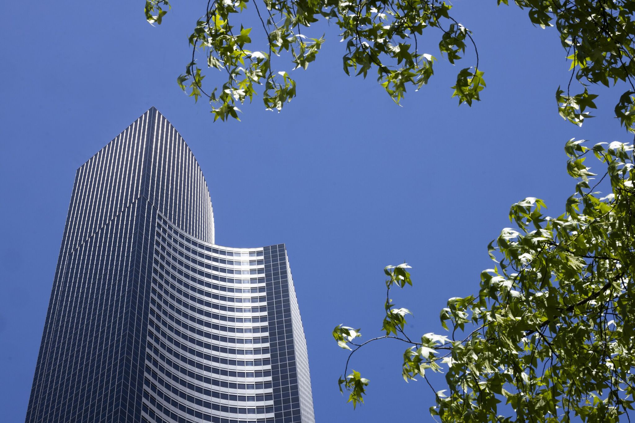 With 76 floors, Columbia Center is the tallest building in Seattle. The Columbia Tower Club, an institution that lasted 40 years, is closing. (Ellen M. Banner / The Seattle Times)