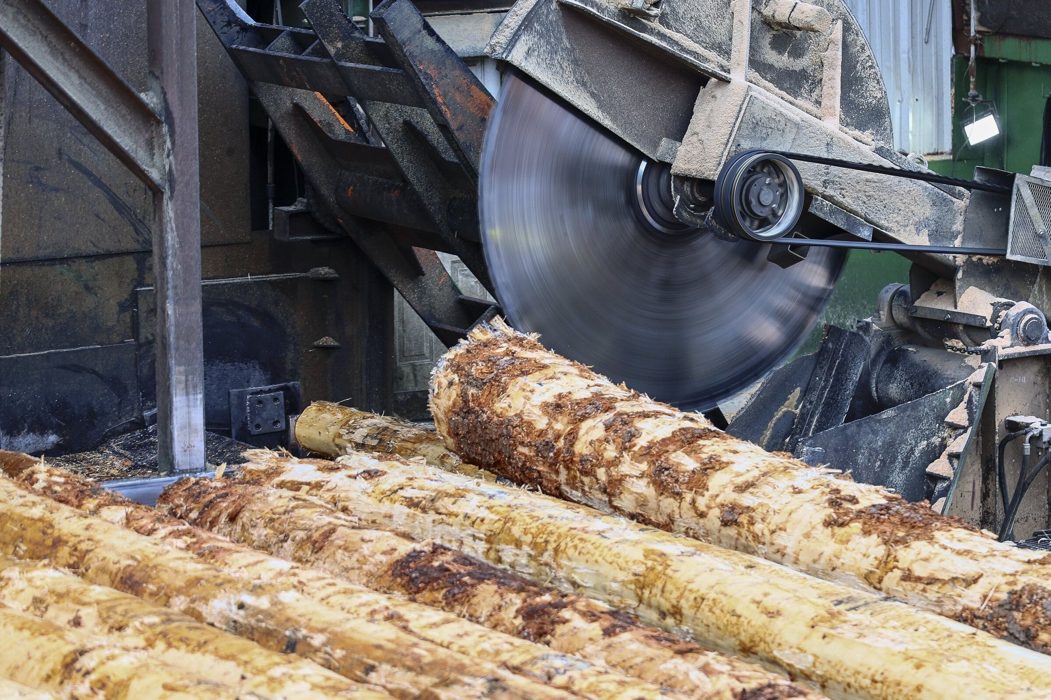 Raw logs are sawn into manageable sizes at the Hampton Lumber sawmill in Morton, Lewis County, last month. (Kevin Clark / The Seattle Times)