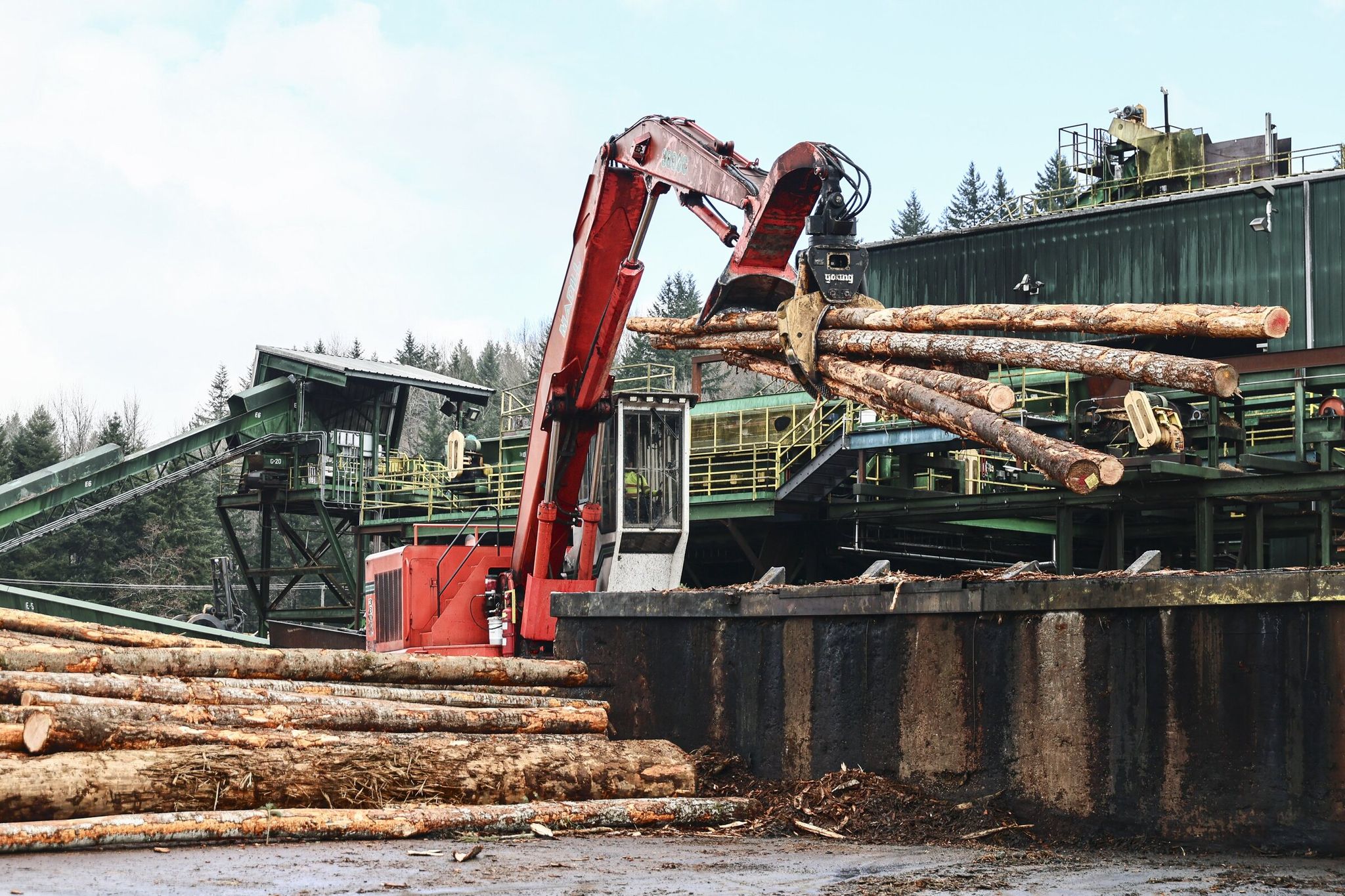 Raw timber being loaded at the Hampton Lumber plant in Morton (Lewis County) last month. In June Hampton Lumber announced it will build its first southern sawmill in South Carolina. (Kevin Clark / The Seattle Times)