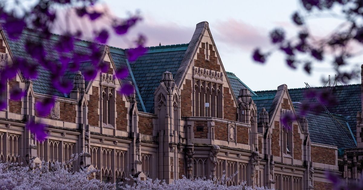 Aria Fani had signed a three-year contract in 2025 to serve as the Middle East Center’s director. He was fired last week.