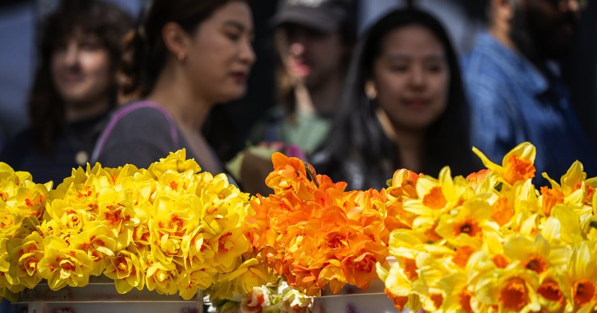 A second day of unseasonably warm weather is expected to grace Western Washington on Monday, with highs springing into the 70s before a midweek cool-off.