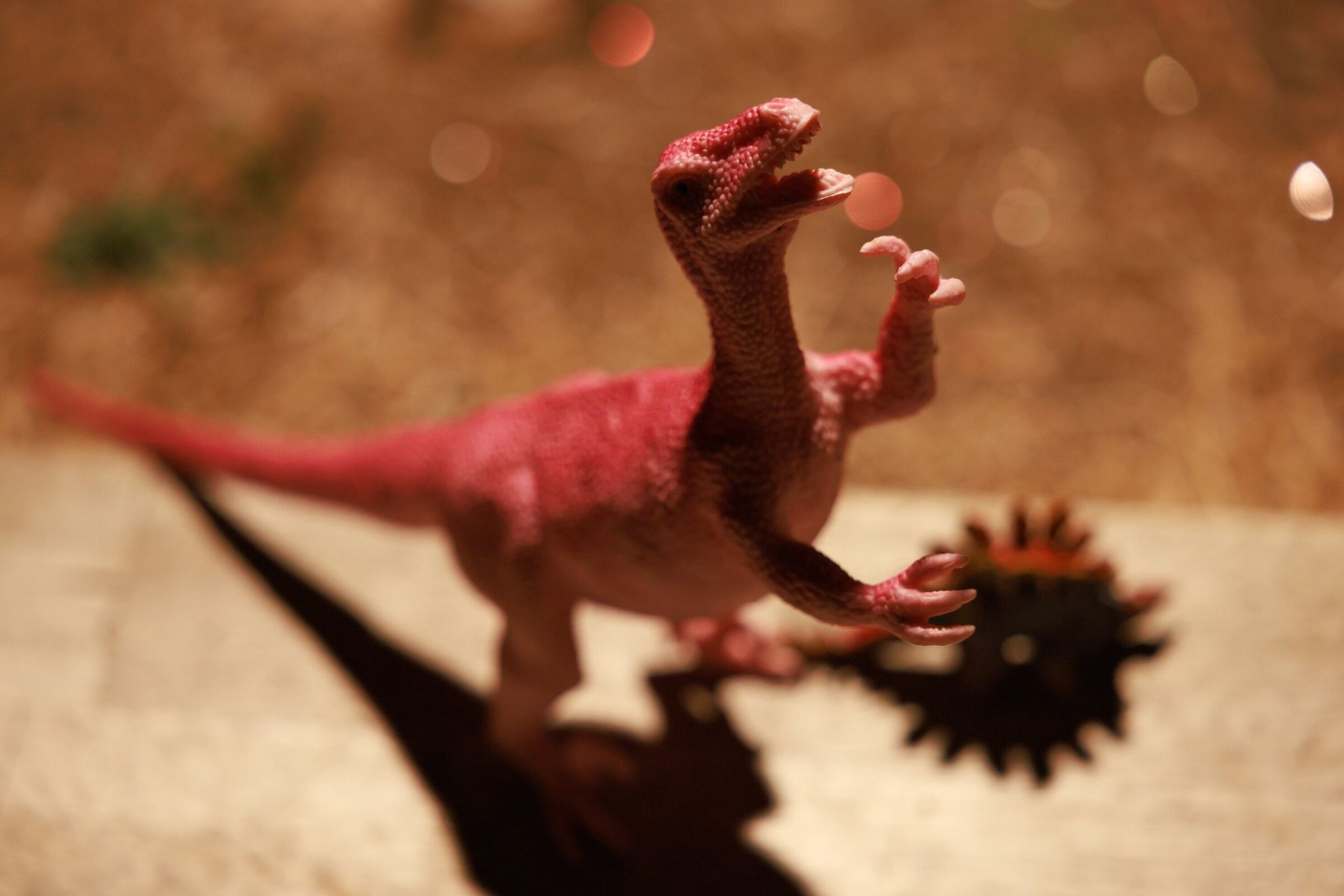 Toy dinosaurs displayed where Dragon Land once stood, next to Third Place Books on Wilson Avenue South in Seward Park. (Erika Schultz / The Seattle Times)