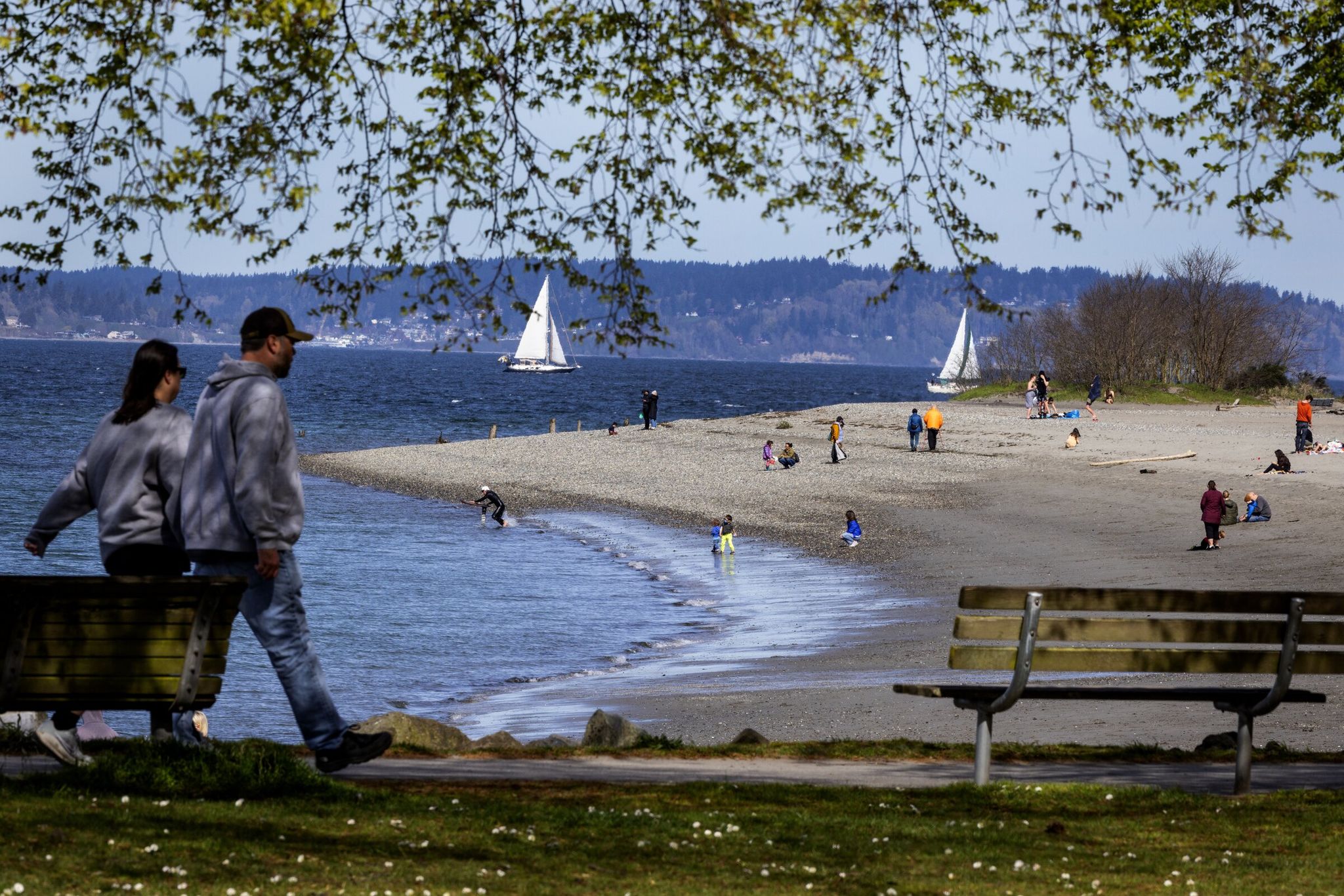 At Golden Gardens on Sunday spring began to feel a bit like summer. (Ken Lambert / The Seattle Times)