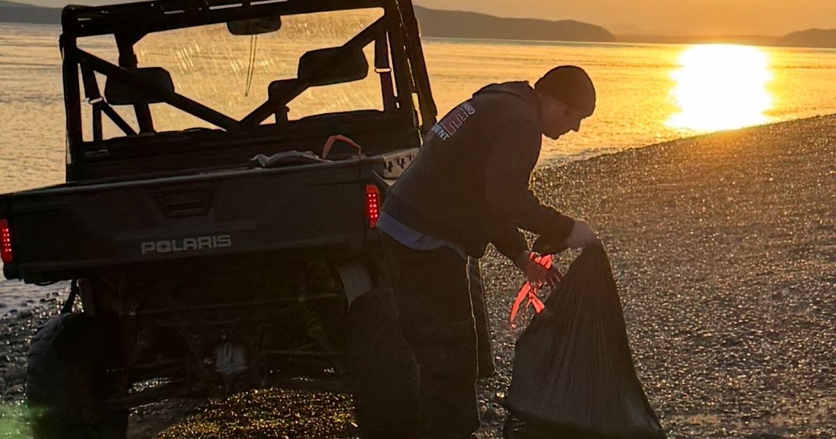 The 20 fox carcasses found just north of Anacortes were legally purchased outside of Washington.