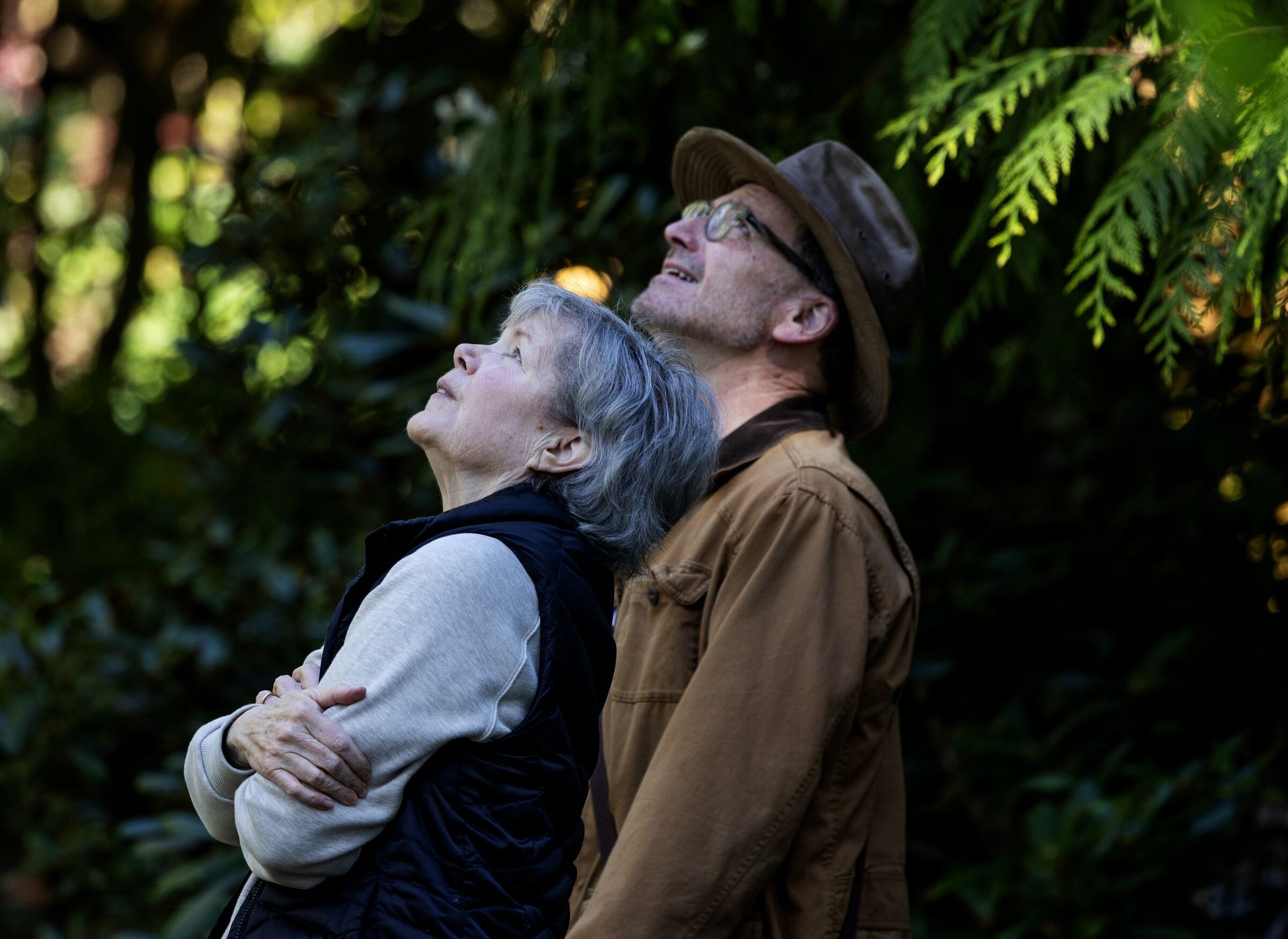 Kathleen and Malcolm MacDonald, who live nearby, watch the herons. (Ken Lambert / The Seattle Times)